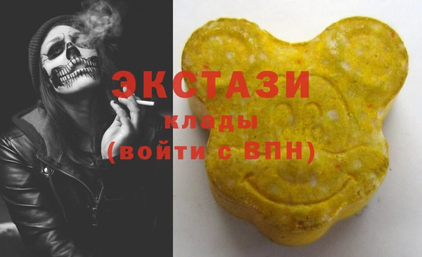 соль ск Инсар