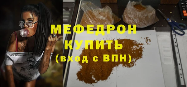соль ск Инсар