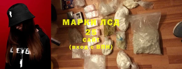 соль ск Инсар