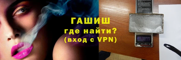 соль ск Инсар