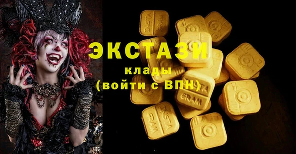 соль ск Инсар