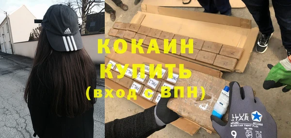 соль ск Инсар