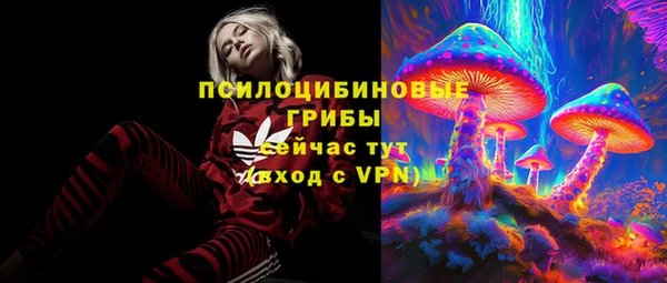 СК Иннополис