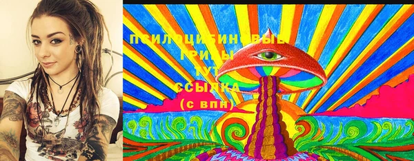 соль ск Инсар