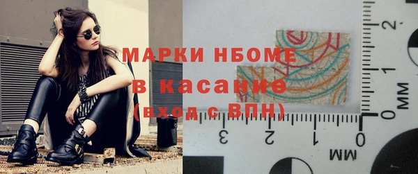 соль ск Инсар