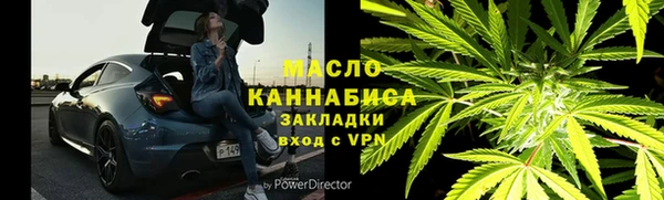соль ск Инсар