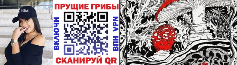 Купить закладки  Кировград  Галлюциногенные грибы Psilocybine cubensis 