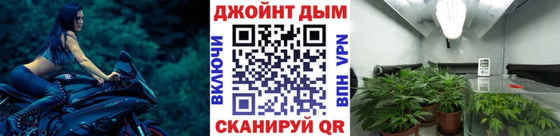 Купить закладки  Кировград  Бошки марихуана семена 